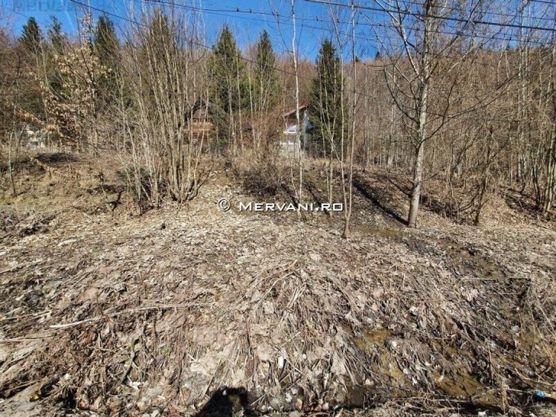 Teren Intravilan de Vanzare Sinaia